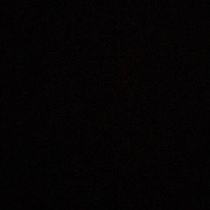 Meet your Posher, Mia